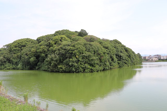 白鳥陵古墳の画像2