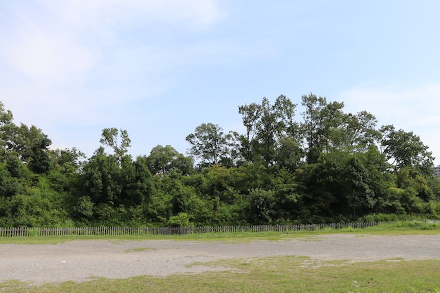 峯ヶ塚古墳の画像2