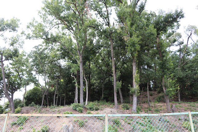 青山古墳の画像2