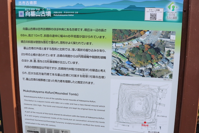 向墓山古墳の画像4