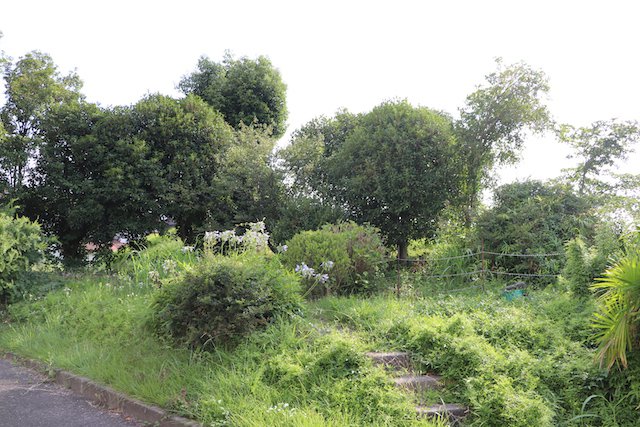 野中古墳の画像2