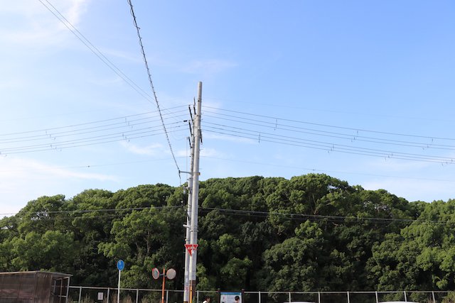 允恭天皇陵古墳の画像2