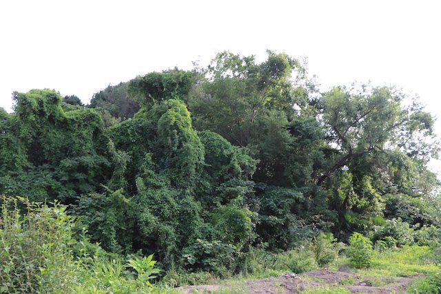 中山塚古墳の画像1