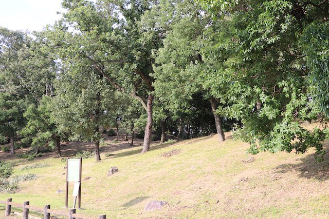 大鳥塚古墳の画像2