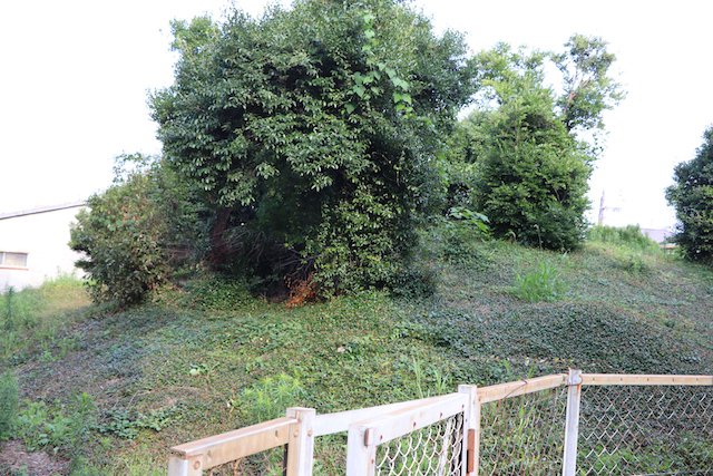 栗塚古墳の画像2