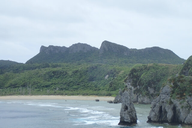 奄美大島、徳之島、沖縄島北部及び西表島の画像11