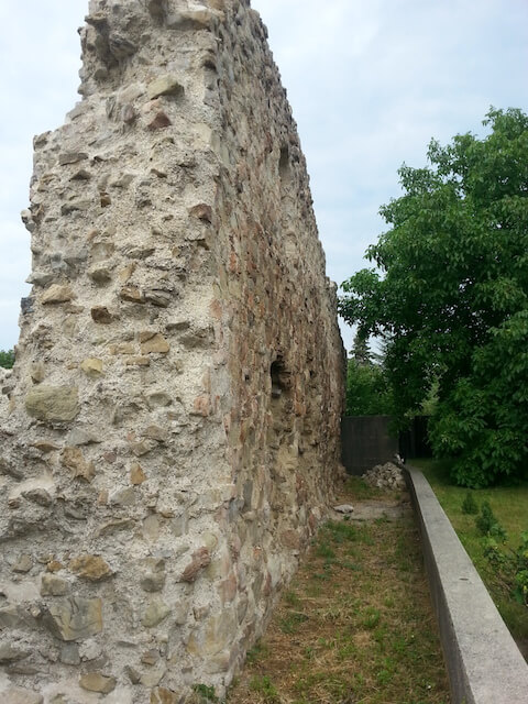 ローマ帝国の国境線-ドナウのリーメス（西部分）の画像1