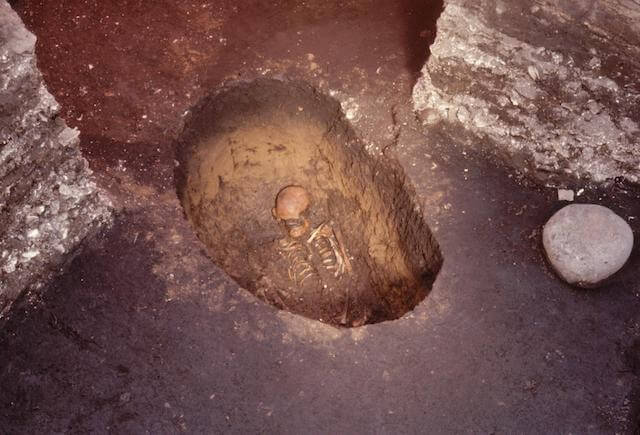 北海道・北東北の縄文遺跡群 の画像14