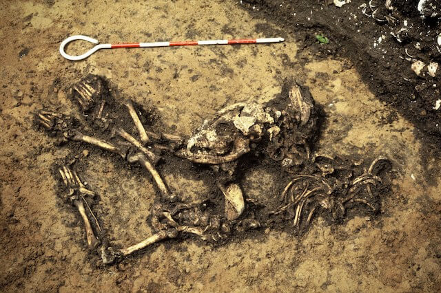 北海道・北東北の縄文遺跡群 の画像23