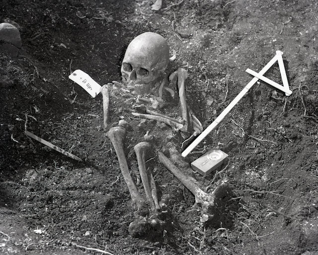  入江・高砂貝塚（高砂貝塚）の画像3