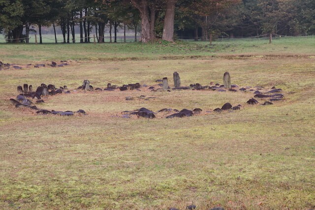 大湯環状列石 （特別史跡）の画像5