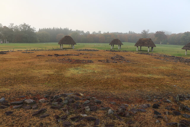大湯環状列石 （特別史跡）の画像8