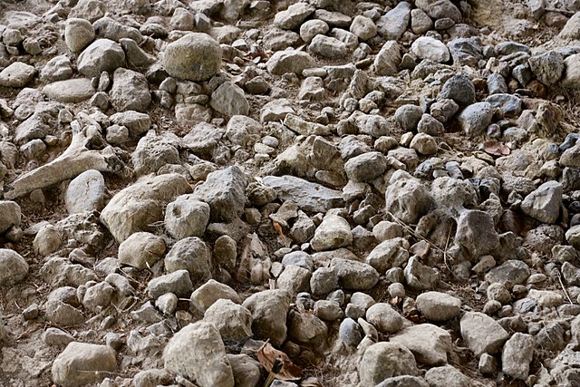 メルカ・クントゥレとバルチットメルカ・クントゥレとバルチット：エチオピアの高地にある考古学的・古生物学的遺跡群の画像1