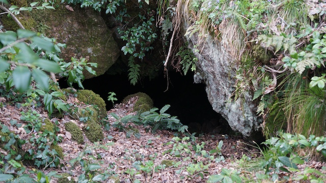 相川鶴子金銀山 - 鶴子銀山エリアの画像1