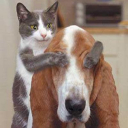 /img旅好きおやじ